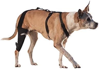 Knee Brace (Medium/Large 12-13" measurement 1" above right knee) 3mm neoprene support sleeve