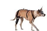 WalkAbout Canine Knee Brace