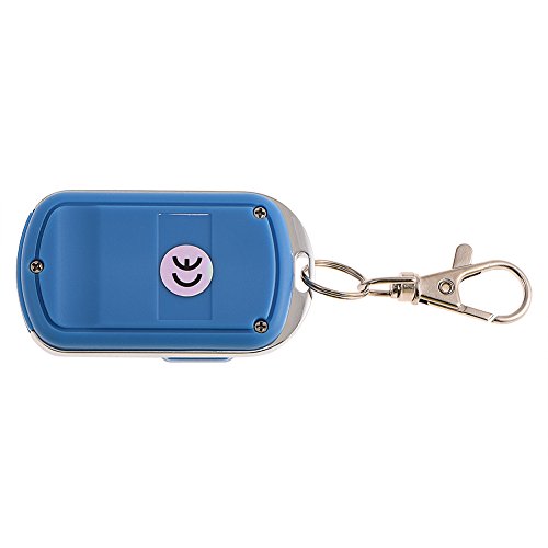 Delaman Car Alarm, Portable 433.92MHz 4 Channels RF Wireless Remote Control Duplicator for Garage Doors Gates Cars Alarm Systems (Blue)