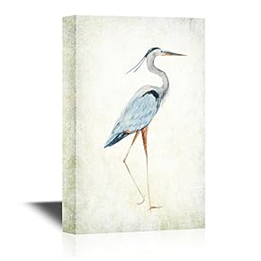 Heron Bird Wild Animal