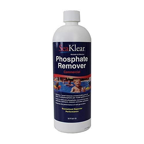 Best Pool Stain Removers Buying Guide GistGear