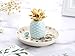 Jojuno Ananas Ceramic Ring Holder Decor Jewelry Dish Organizer, Jewelry Tray, Blue Pineapple Jewelry Plate