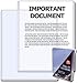 BCW 8.5 x 11 - Document Topload Holder (25 Holders/Pack) - Photo, Picture, Photograph Display - Baseball, Football, Basketball, Hockey, Golf, Single Sports Cards Top Load - Sportcards Card Collecting Supplies