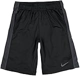 Nike Boy's Fly Shorts