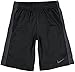 Nike Boy's Fly Shorts