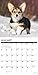 Just Corgi Puppies 2020 Wall Calendar (Dog Breed Calendar)