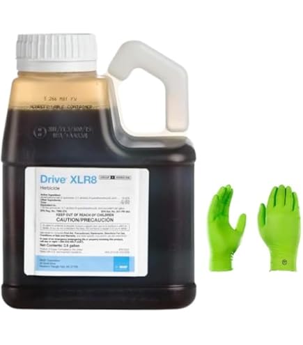 where do you buy aloe vera plant Aloe Vera Plant for Sale