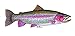Enjoy It Wild Wings Rainbow Trout Full Color Car Sticker, Outdoor Rated Vinyl Sticker Decal