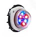 Whelen Vertex Super-LED Light - Red/Blue Split VTX609J