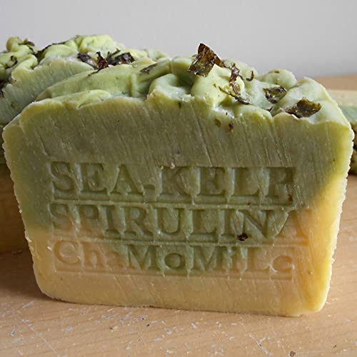 Natural Handcrafted Soap Company Handmade 7 oz. Bar Soap Fresh Organic Sea Kelp Moss with Chamomile Herb Organic Cocoa Butter Handmade !