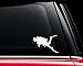 Scuba Diver Diving - Vinyl Decal - Car Truck Laptop - SELECT SIZE