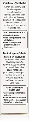Weleda Oral Care Children\'s Tooth Gel, 1.7 Fluid Ounce (Pack of 3), Fluoride Free, Spearmint Flavor, Plant Rich Toothpaste with Calendula, Silica and Fennel