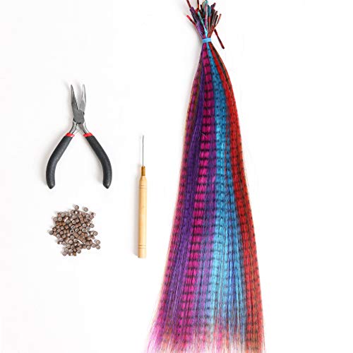 4 Pc Kit for Micro Ring Link Feather Hair Extensions: Pliers+Loop Threader+100pcs Micro Silicone Nano Rings Beads+All 60 Pcs 10 Colors Japanese Feather Fiber Extensions (No:3/Mixed Colors)