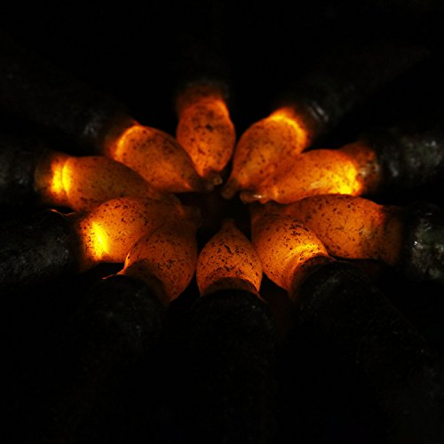Wax Taper Candles Flameless Pillar Short Amber Flickering Yellow Dipped LED Flame Decorative Battery Operated for Church Wedding Christmas Candlelit Dinner-Batteries Not Included(10pcs)
