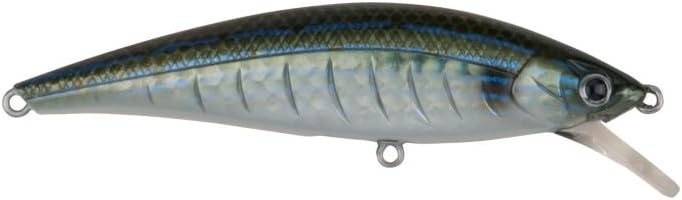 pinfish amazon