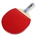 DHS 6-Star 6006 Pen Hold Premium Table Tennis Racket Ping Pong Paddle Blade Inverted Rubber with Carry Case