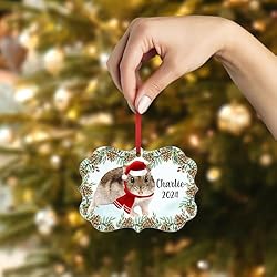 Winter White Dwarf Hamster Christmas Ornament 2024