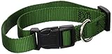 Guardian Gear Nylon Adjustable Dog Collar with Plastic Buckles, 3/4-Inch, Hunter Green