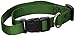 Guardian Gear Nylon Adjustable Dog Collar with Plastic Buckles, 3/4-Inch, Hunter Green