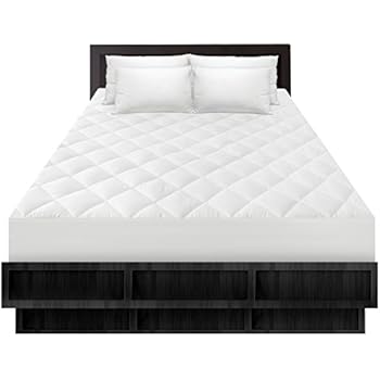 Amazon Com Biopedic Zip N Clean Mattress Encasement With Pillow