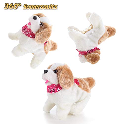 2 Cute+Little+Puppy+Somersaults+Walks