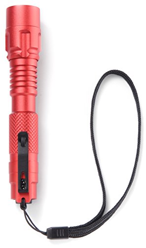 Amprobe flash-175 flashlight