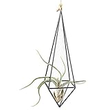 Rustic Style Freestanding Hanging Metal Tillandsia Air Plant Rack Holder Black 10 inches Height Quadrilateral Pyramid Shape Geometric