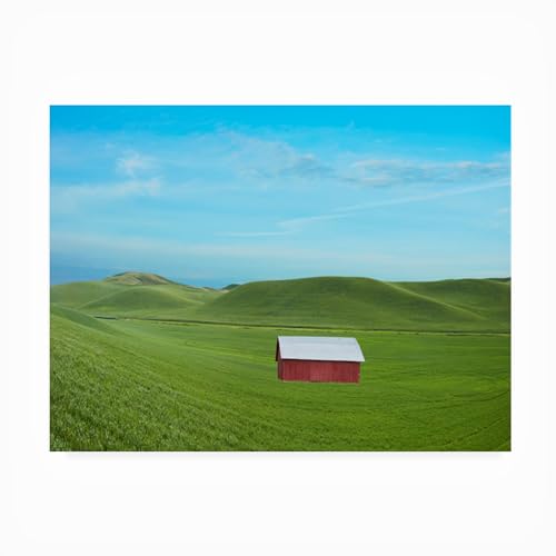 Trademark Fine Art Outdoor Canvas Art - James McLoughlin 'Barn Scene VI' Wall A…