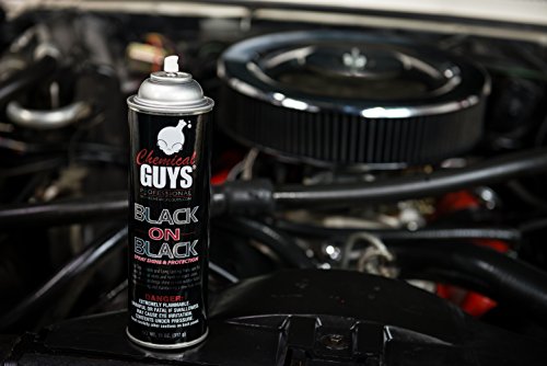 5 Chemical+Guys+AIR_Spray_1+Interior+Exterior