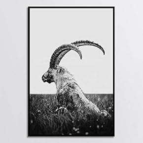 signwin Framed Canvas Wall Art Black and White...