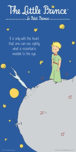 The Little Prince Book Cover Quote (Antoine de Saint-Exupery) Children's Kids Literary Literature Classic Book Cover Decorative Classroom Art Poster Print 12x24