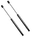 6245 BMW 745i, 745Li, 750i, 750Li, 760i, 760Li Hood Lift Supports Strut, Set of 2