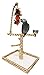 Birds LOVE Bird Play Gym Tabletop w Cup, Toy Hanger and Toy, Bengal TigerTail Stand – Largethumb 3