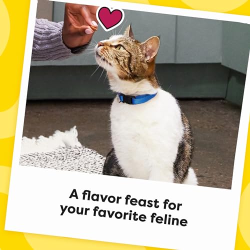 TEMPTATIONS MIXUPS CATNIP FEVER FLAVOR CRUNCHY AND SOFT CAT TREATS, 30 OZ. TUB