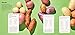 The Potato Cookbook: Recipes Featuring the World's Greatest Vegetable