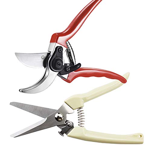 Nibro 8 Inch Professional Garden Pruning Shears Branch Pruning Shears Scissors with 8 Inch Garden Plant Shears Scissors, Ultra Sharp Blades with Safety Lock & Comfort Grip for Small Pruning Work
