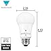 Triangle Bulbs LED Dimmable 60 Watt Equivalent Warm White A19 Light Bulbs (Daylight, 6-Pack)