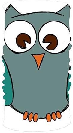 XPNiao Stylish Teacher Owl Clip Art UV Headband Quick Dry Ultra Soft Elastic Handscarf Microfiber Headwear Outdoor Bandana Magic Scarf Face Mask Unisex