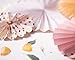 PapaKit Deluxe Origami Large Wall Decoration Set (Assorted Paper Fans & Pom-poms) Birthday Party Baby Shower Wedding Event Decor | Creative Art Design (Sparking Pink Rose Blush, Deluxe 26 Piece Set)