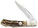 Colt Tiger Paw Lockback Knife, Brown