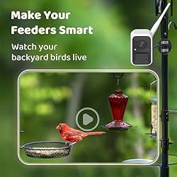 NETVUE Birdfy - Upgraded Samrt Bird Feeder Camera
