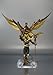 Bandai Tamashii Nations Masked Rider Odin and GoldPhoenix 