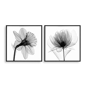 2 Piece Framed Canvas Home Artwork Decoration Transparent Flower Canvas Wall Art for Living Room, Bedroom - 16"x16"x2 Panels