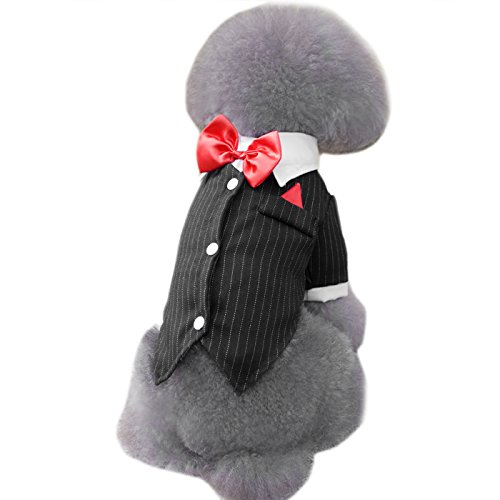 Alfie Pet by Petoga Couture - Decker Formal Tuxedo with Red Bow Tie - Color: Black