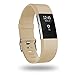 POY Replacement Bands Compatible for Fitbit Charge 2, Classic & Special Edition Sport Wristbands, Small Tan, 1PC