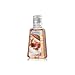 Bath & Body Works Cinnamon Heaven Pocketbac Anti-bacterial Hand Gel 1fl. Oz/29ml