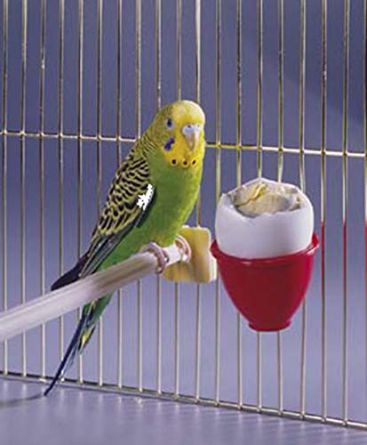 Penn Plax (BA435) Egg Treat Cup for Bird Bath Cage, Assorted