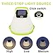 Solar Portable Led Camping Lantern Lights Outdoor -Tabletop Lantern Rechargeable Emergency Light Collapsible Flashlight- Solar or USB Chargeable for Outdoor Hiking Tent Garden (Green)