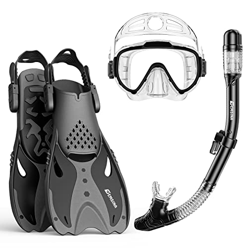 EMSINA Mask Fin Snorkel Set with Adult Snorkeling Gear, Panoramic View Diving Mask, Trek Fin, Dry Top Snorkel +Travel Bags, Snorkel for Lap Swimming