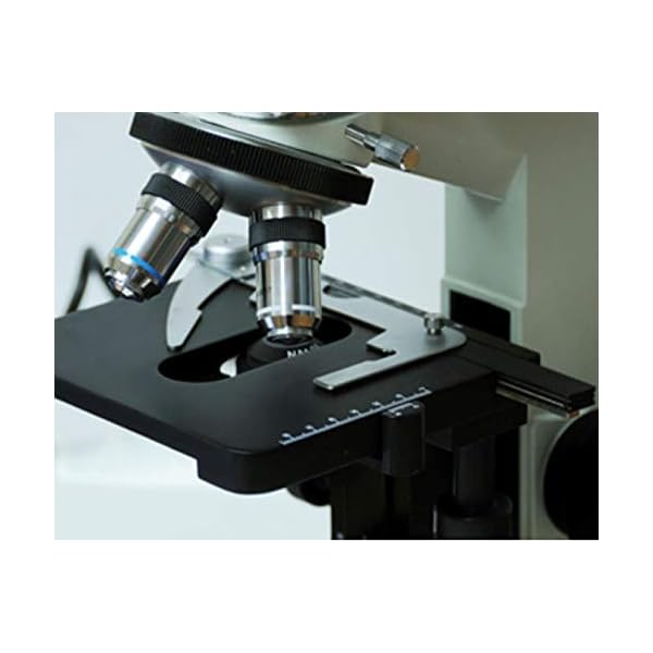 MICROSCOPIO Doppelkopf URA 204 – Bild 3